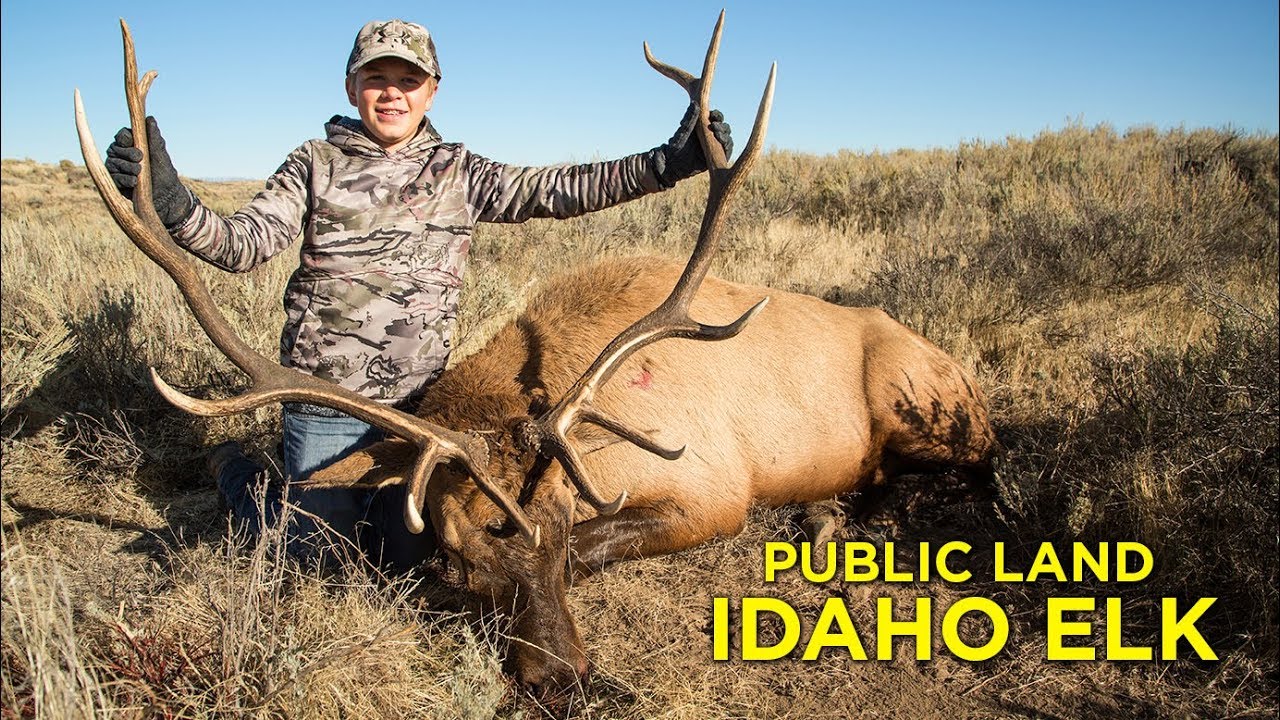 Public Land Hunting, Youth Idaho Elk Hunt YouTube
