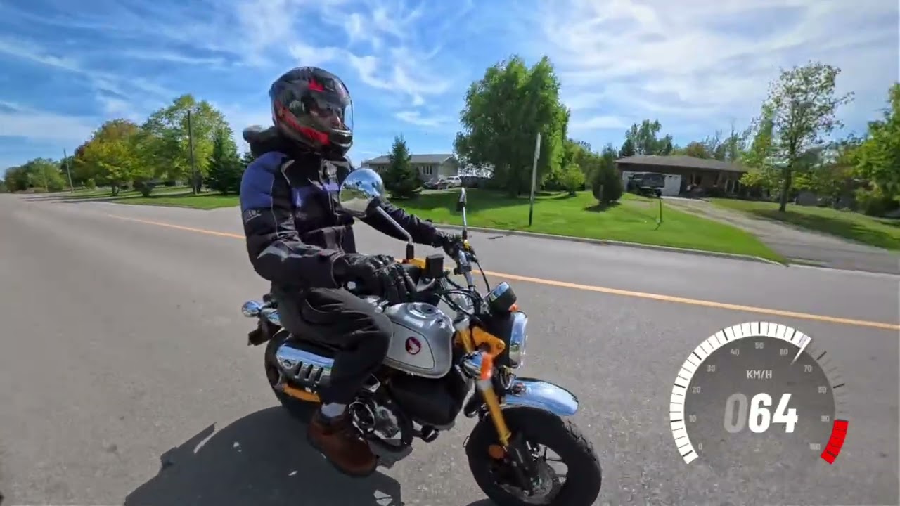 2023 Honda Monkey 125, 250km day ride!  How does it do?