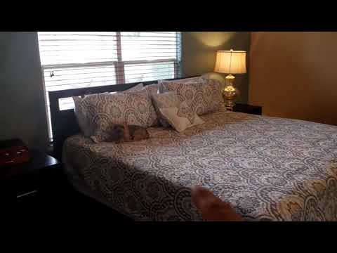 57 Willow Trace CT, Rio Rancho, NM home video tour