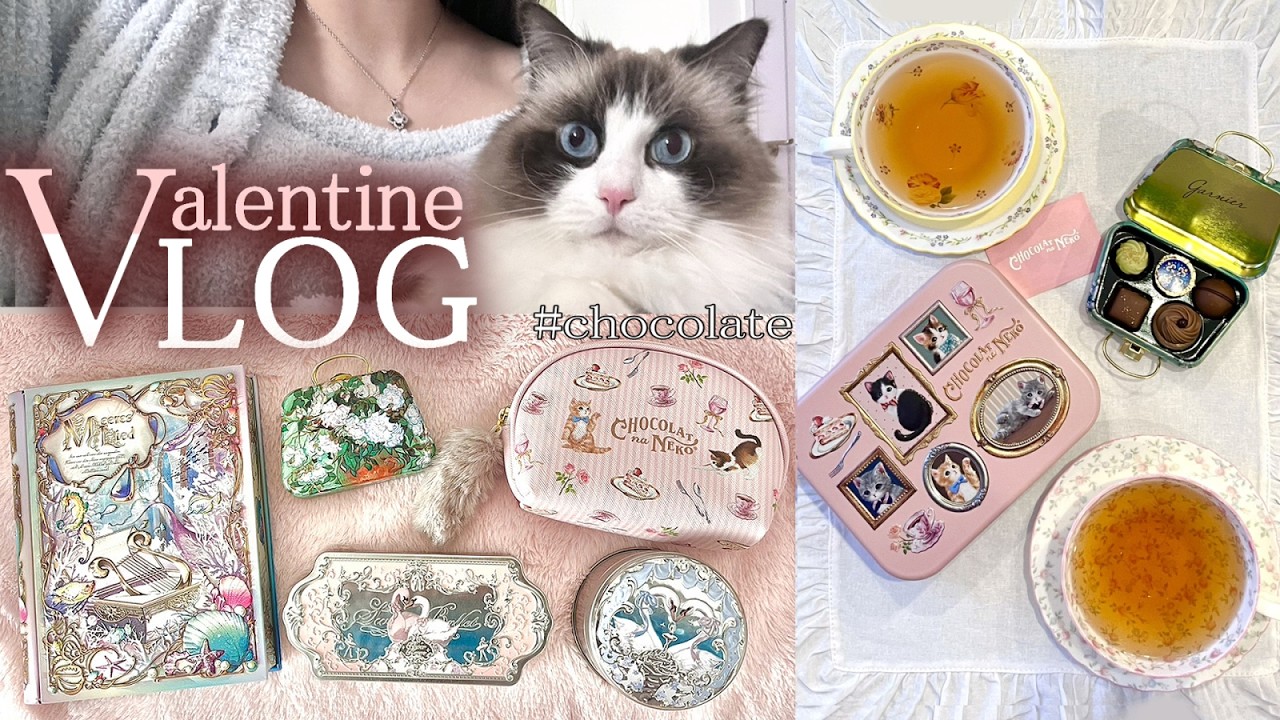 【Valentine Vlog】バレンタインチョコとティーカップ＆ソーサーの購入品紹介🍫☕猫とまったり過ごすあま～い日