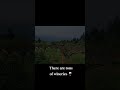 Exploring Hood River pt 1 #greatpnw #travel #wine #hardcider #mthood