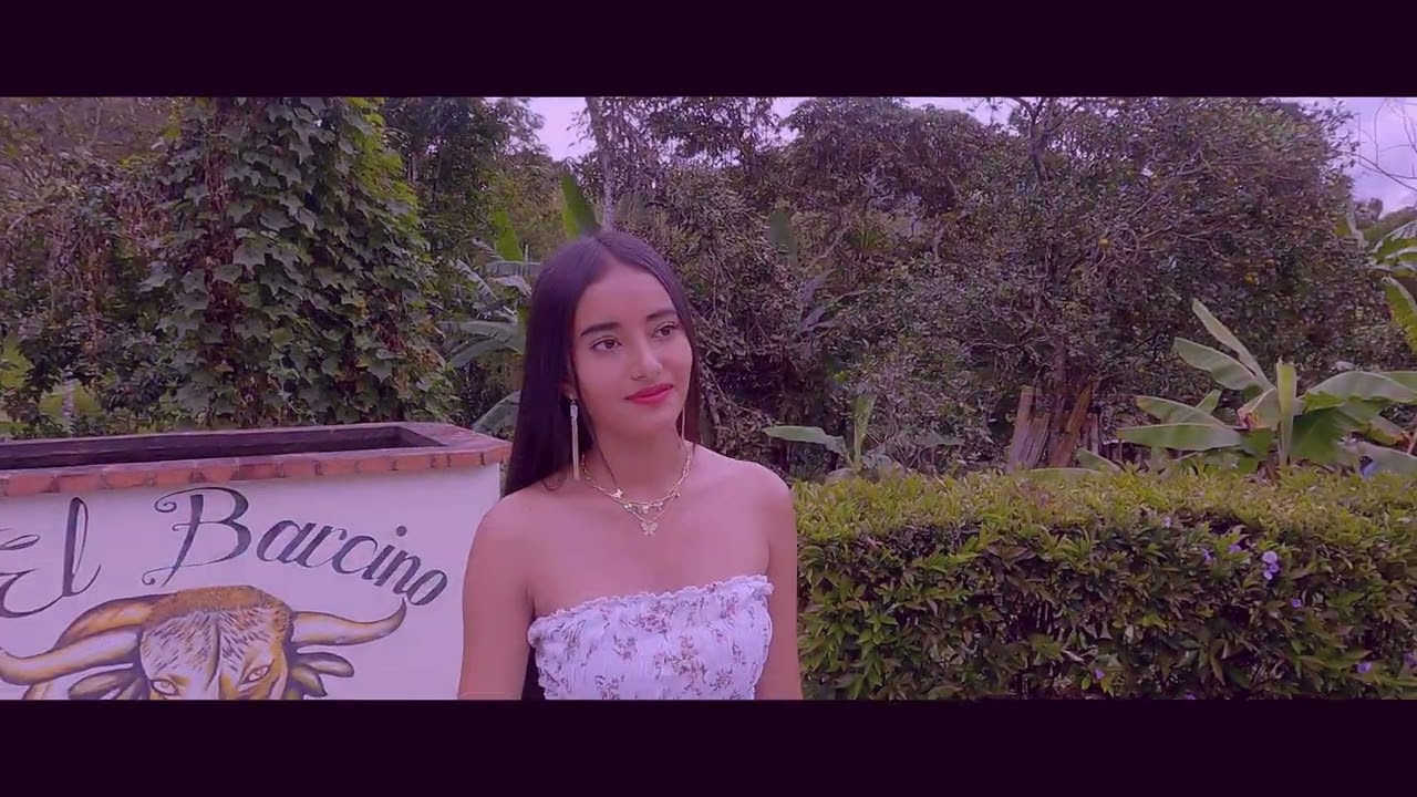 LLEGO EL FINAL - MARLON MOLINA (Video Oficial)