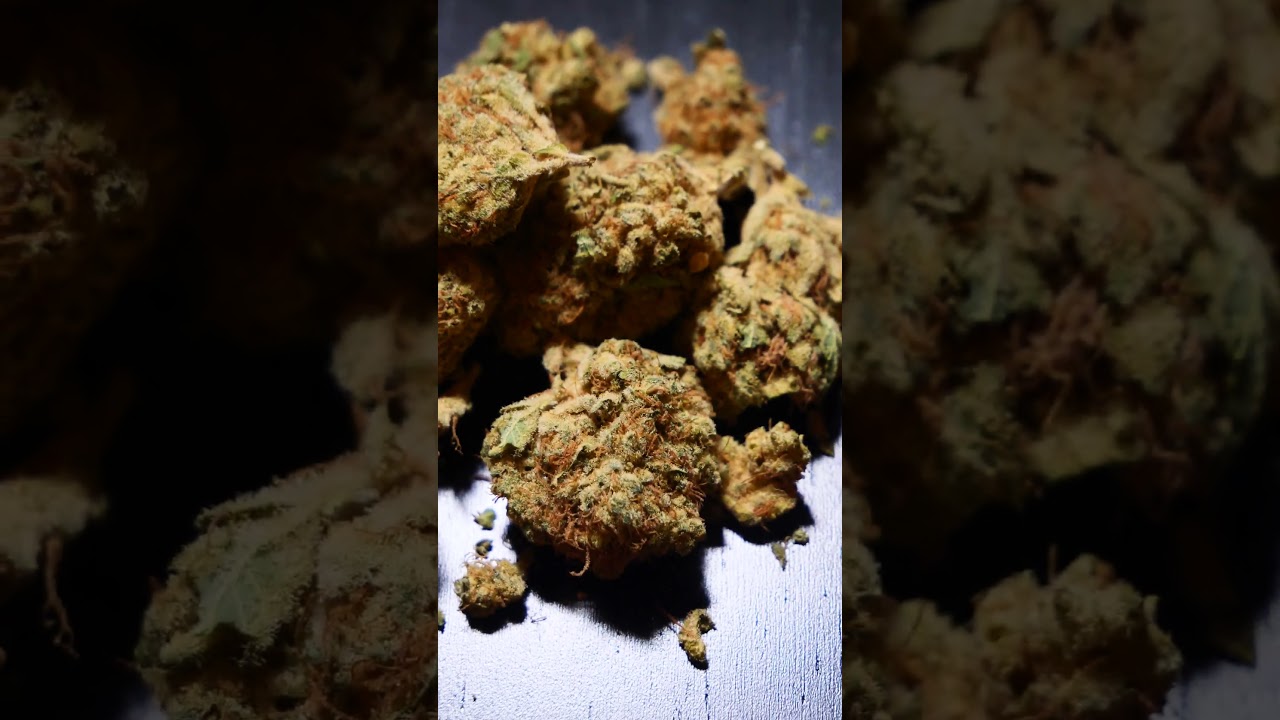 Platinum Garlic  THC 26% CBD 1% Indica Dominant 