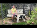 Ecuador Expat Life: Garden Days &amp; Happy Dogs 🐕 ❤️