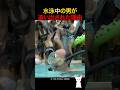 水泳中の男が追い出された理由