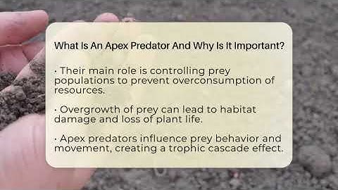 What Is An Apex Predator And Why Is It Important? - Biology For Everyone
