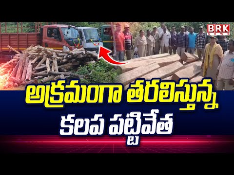 అక్రమంగా తరలిస్తున్న కలప పట్టివేత | Mulugu District | @brk news