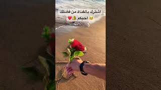 اسم هناء على الرمل شاهد الجمال ❤️🤭