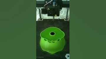 Timelapse 3D Printed frog 🐸🐸🐸