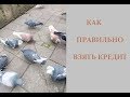 Как правильно взять кредит