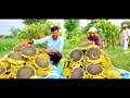 Humara Suraj Mukkhi [Sunflower] Pakk Gya