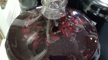 Malolactic Fermentation