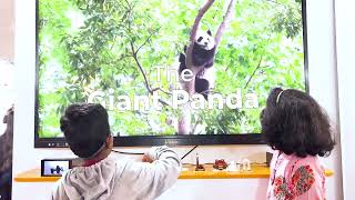 Interactive Learning for Kids | Digital Innovation in Education