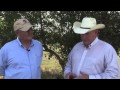 Ron Gill - Drought Cattle Management - Culling Early and Body Condition