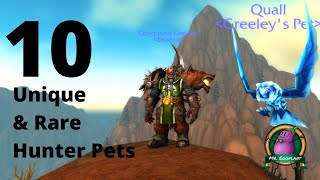 10 Unique & Rare Hunter Tames | World of Warcraft 8.3 | Battle for Azeroth