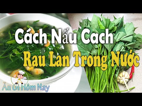 Video Cách nấu CANH Rau LANG ( Khoai ) Với TÔM Tươi Nước... - youtube