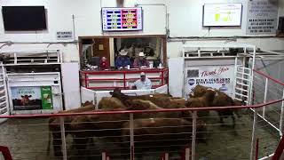 4-9-22   Top-Selling Fall-Calving Pairs  $2,635   Thank You Triple C