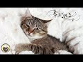 Calming Sleep Music for Cats (with cat purring sounds) - Deep Relaxation &amp; Anxiety Relief