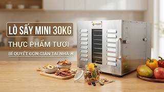LÒ SẤY THỰC PHẨM MINI 30KG TƯƠI bí quyết làm nông sản sấy khô đơn giản tại nhà