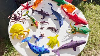 Painted Colorful Sea Toys! Jeremy Washes Ocean Toys | Starfish, Whales, Sharks, Octopus, Sharks