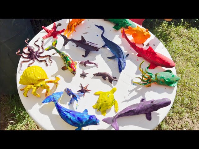 Painted Colorful Sea Toys! Jeremy Washes Ocean Toys | Starfish, Whales, Sharks, Octopus, Sharks class=