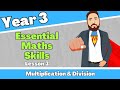 Year 3 maths lesson uk  multiplication  division