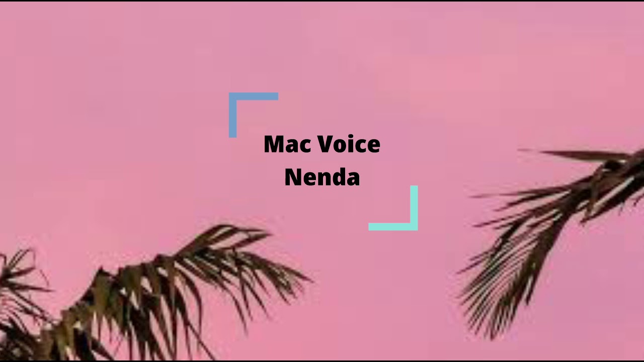 Mac voice   Nenda lyrics video