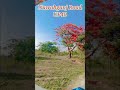 Nawabganj Road UP40 New shorts 2026 Nature vlog Best Vlog 2026 #reels #vlog #travelblog #bahraich