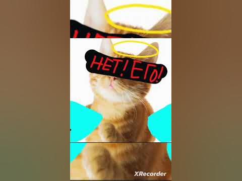 симба умер😭 - YouTube
