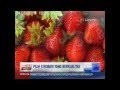 Download Slimxpress - Kompas Tv Selaras 24 Agt 2013 Slimxpress - Kompas Tv Selaras 24 Agt 2013