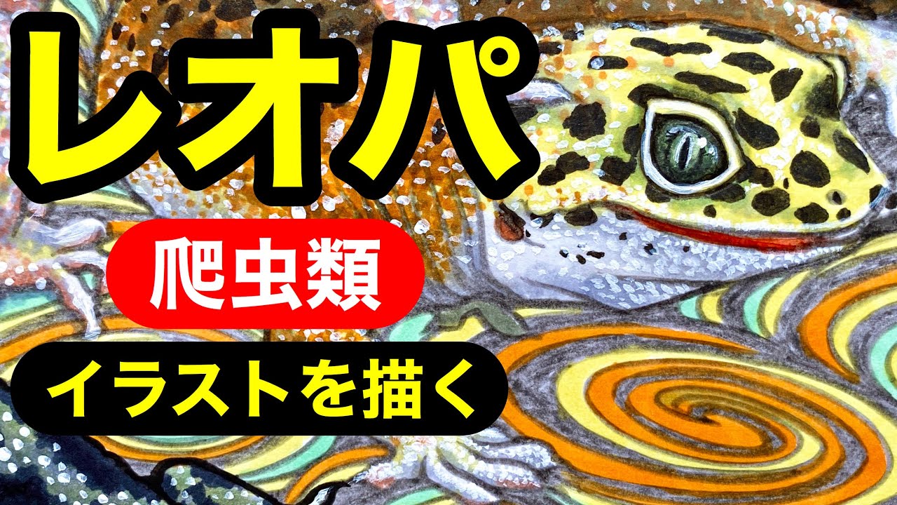 爬虫類 レオパ コピックでレオパのモルフをリアルに描いてみた Shingoart レオパ 爬虫類 コピックメイキング Youtube