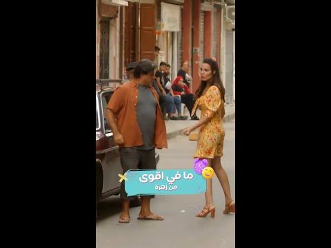 منتوف يا دجاج صالون زهرة