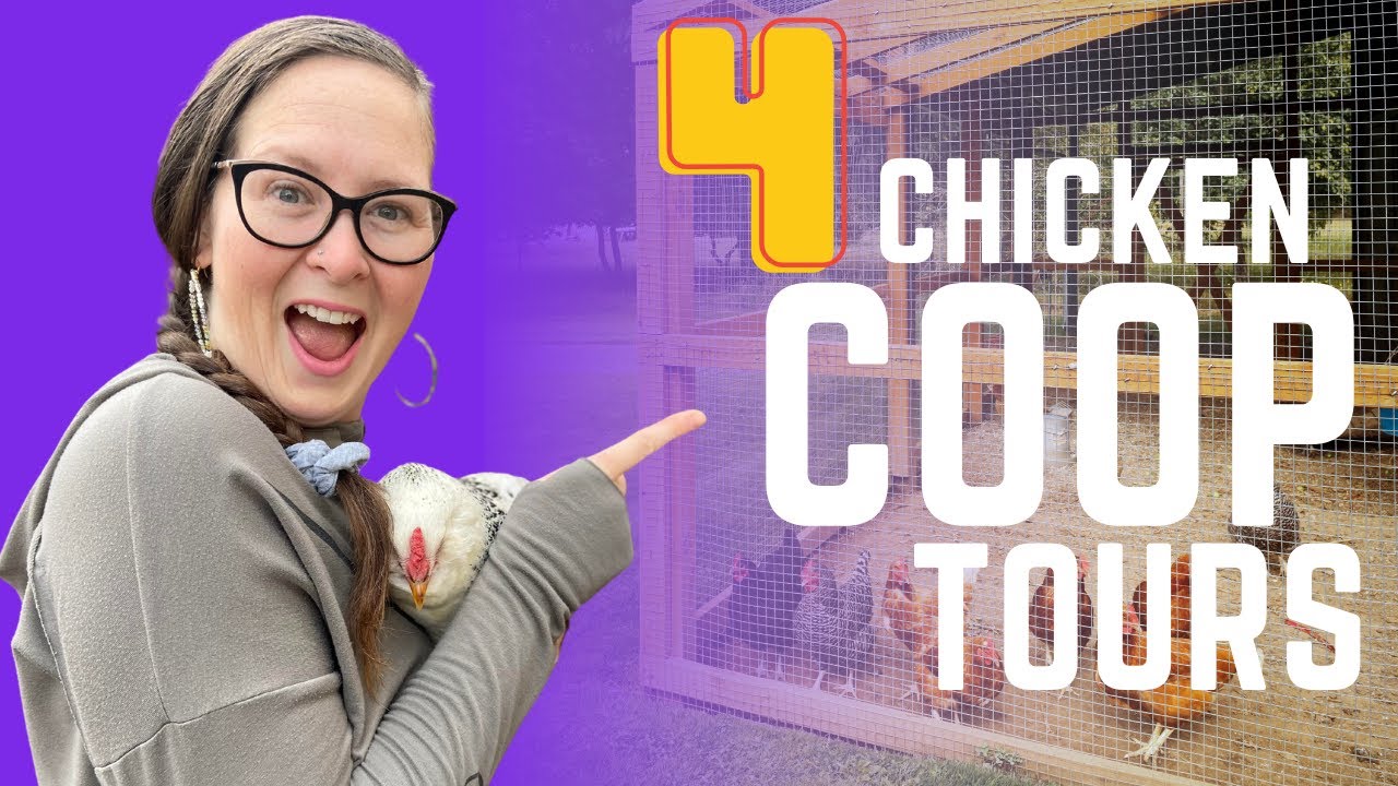 4 Chicken Coop Tours + Must Have List For Your Coop YouTube