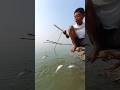 Traditional Fishing Logic That Still Works Today #fishinglife #hooktrap #fishhook #fishing