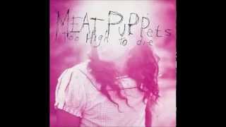 Video thumbnail of "Meat Puppets - Severed Goddess Hand"