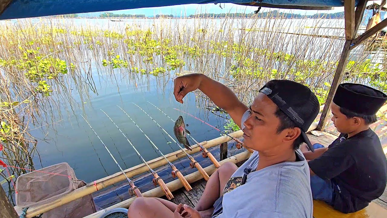 CAMP FISHING Ep.427 Kembali Ke Cirata Bawa Rakit Masuk Dalam Get get Sarang nya Ikan Betok