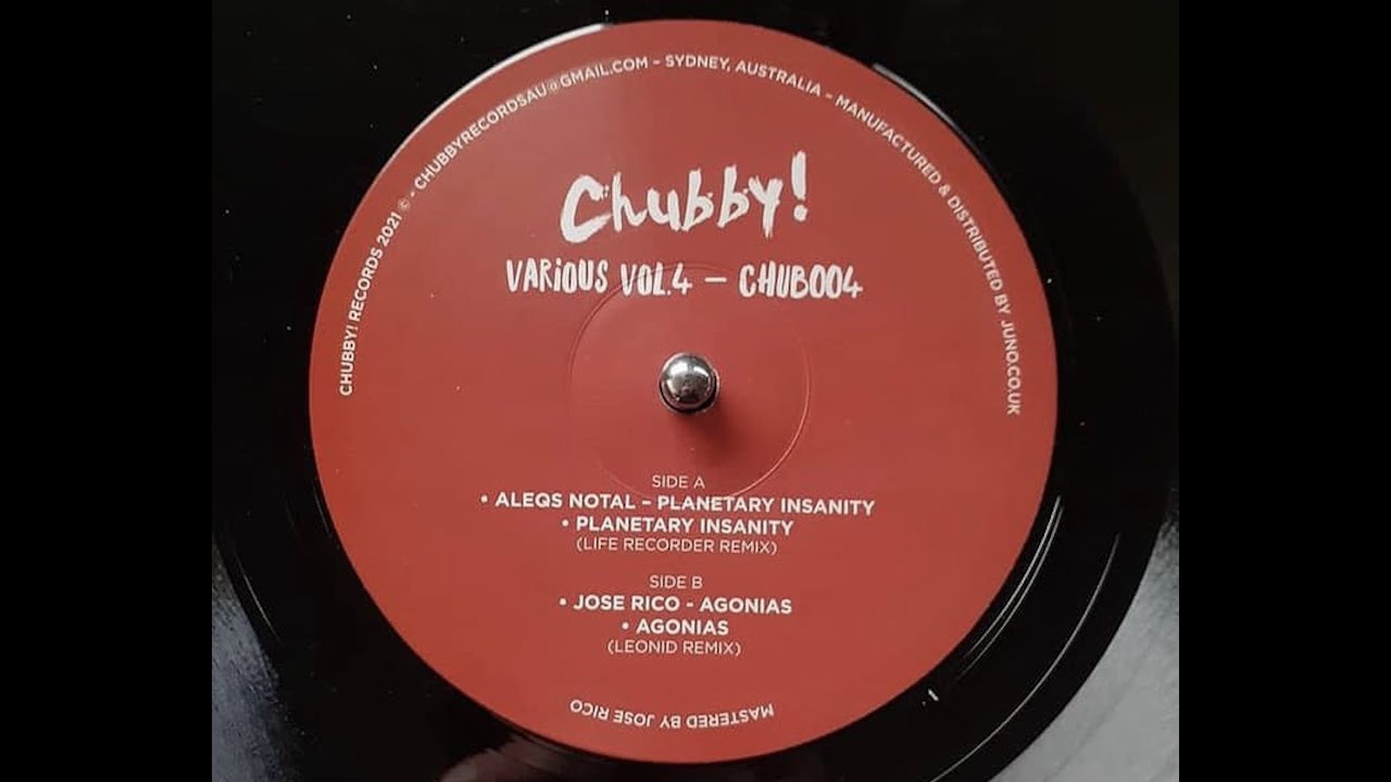 Aleqs Notal  - Planetary Insanity