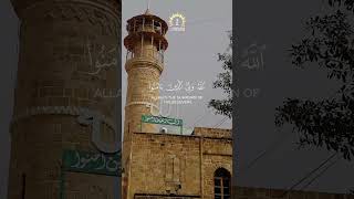 الله ولي الذين آمنوا يخرجهم من الظلمات إلى النور - سورة البقرة - سعد الغامدي