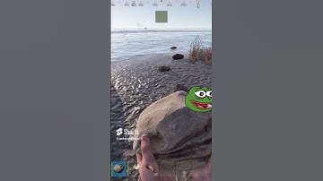 I hate this game (RUST)