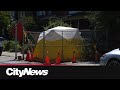 Uncertainty Looms After Ancient Remains Found In 2024 In East Toronto Uncertainty Looms After Ancient Remains Found In 2024 In East Toronto