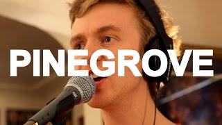 Pinegrove - "Problems" Live at Little Elephant (2/3) chords