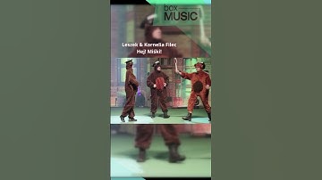 Thumbnail of 🎵🎙🎶Leszek & Kornelia Filec - Hej! Miśki!🎼Śląska Gala Biesiadna 2012 #BoxMusic #shorts #muzyka #music
