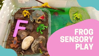 Frog Life Cycle Through Sensory Play - Homeschooling Ideas for Kids