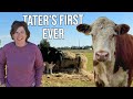 Tater’s First Hay Day & Farm Life’s Unexpected Moments! (From Farm Chaos To Cozy Pumpkin Soup!)