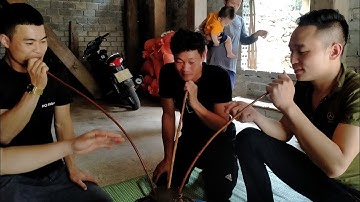 uống rượu cần. người Thái quan hoá thanh hóa.nước đong vào sừng trâu.