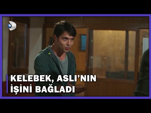 Kelebek, Su Keman Dersi Alsın Diye Uğraşıyor! - Bodrum Masalı Özel Klip