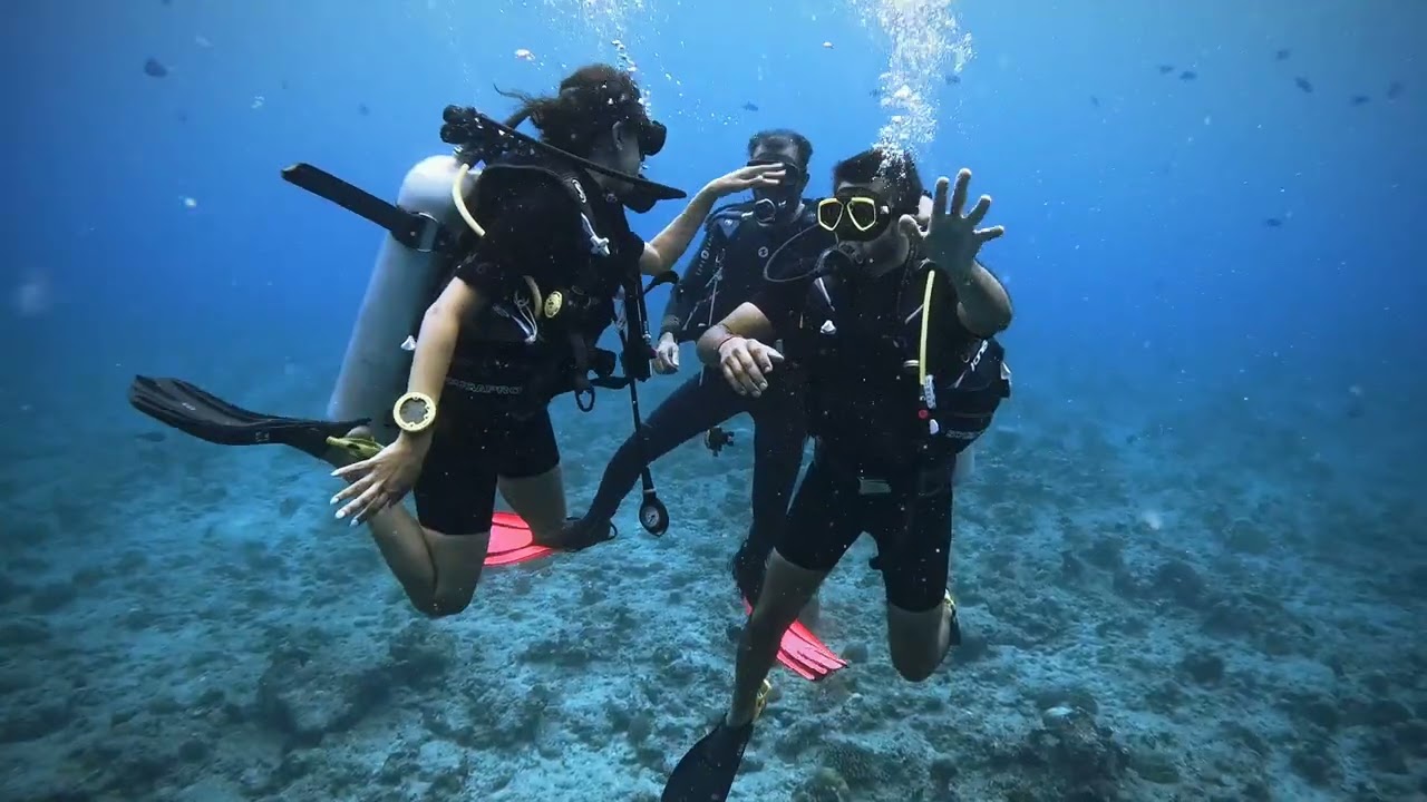 **Dive into Adventure: An Unforgettable Underwater Experience with Sea Star Diving! 🌊🐠**