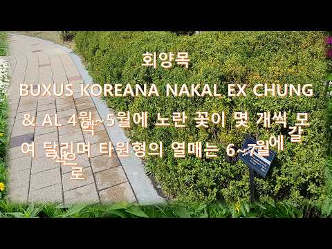 이촌한우리공원