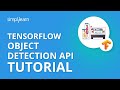 TensorFlow Object Detection API Tutorial | Object Detection API | TensorFlow Tutorial | Simplilearn
