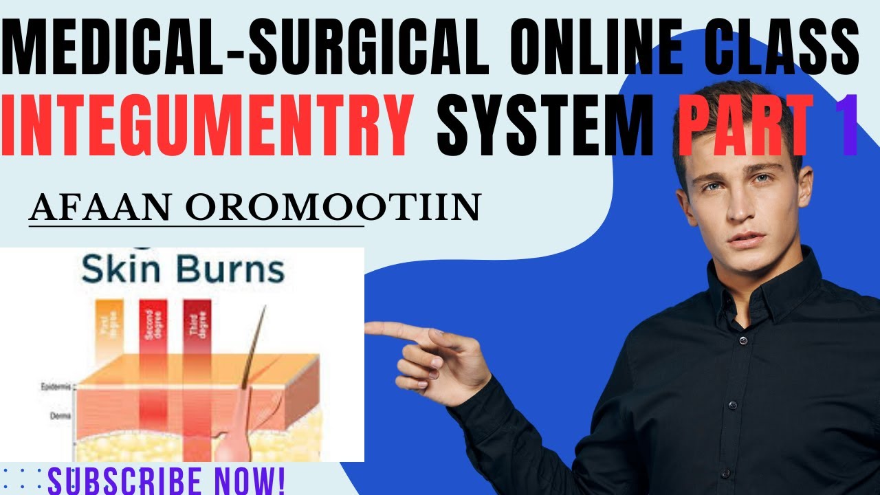 Medical surgical Afaan Oromootiin | INTEGUMENTRY SYSTEM PART 1